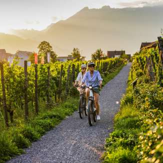 E-bike tour through the vineyards of Liechtenstein Two cyclists in the Liechtenstein vineyards at sunset - e-bike tour with views of the Alps and vines