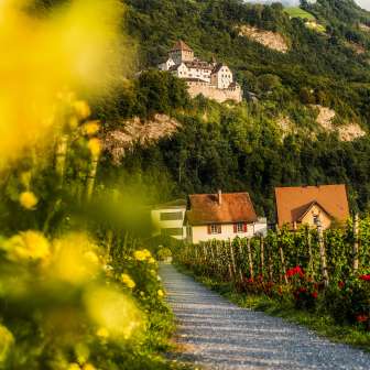 Vaduz Castle from the vineyard - cultural landscape and pleasure region Liechtenstein View of Vaduz Castle from the wine trail through the vineyards with flowers, vines and houses in Liechtenstein