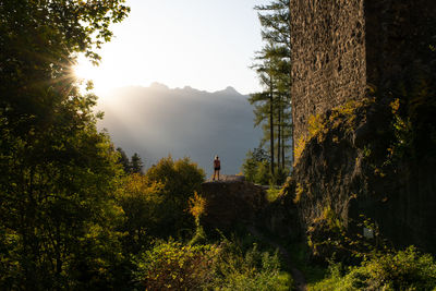 The Liechtenstein Trail